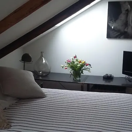 Bed and breakfast Il Viandante 2*